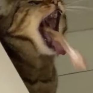 JS_CGD's profile picture. 