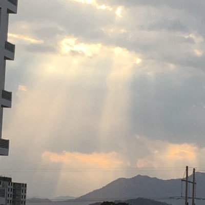 angelayohaname4's profile picture. 