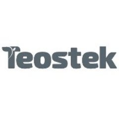 teostek's profile picture. Teostek es una empresa de consultoría de gestión y servicios tecnológicos con gran experiencia en Tecnologías de la Información.