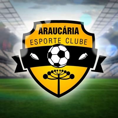 Araucária Esporte Clube
O Cacique Tindiquera
Araucária - Paraná - Brasil
Futebol na veia