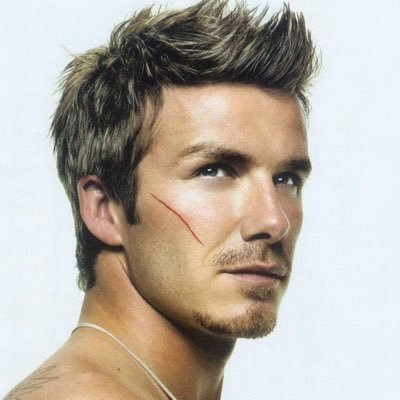 LiptonJonathon's profile picture. 灵魂躁动不安，想进入未知世界。人在广州，想找一个小m练习调教，一起进步，可以有偿。