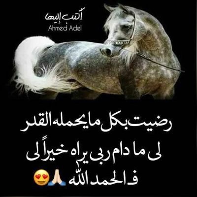 nsjJUv3dj3UNXqz's profile picture. المتحدث