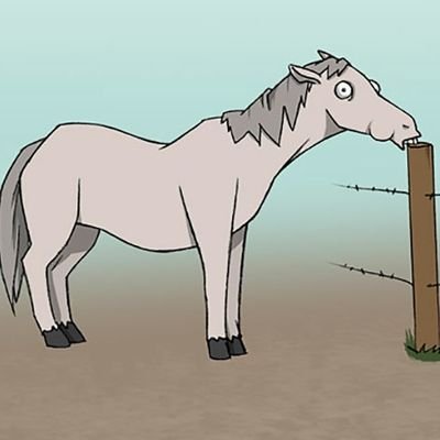 topanimalfacts's profile picture. animals are aliens