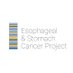 Esophageal & Stomach Cancer Project (@ECSCproject) Twitter profile photo