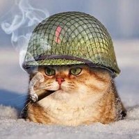 零ニ (@dosera12) 's Twitter Profile