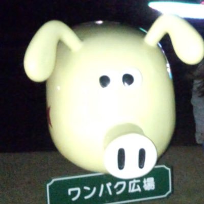 catston14's profile picture. きゃとすとん。