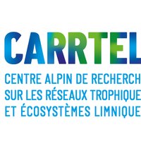 UmrCarrtel(@UmrCarrtel) 's Twitter Profile Photo