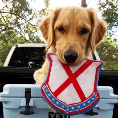 We post cute dogs in college gear. Send in your doggo pics/videos to our Instagram! @oldrowpups