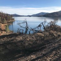Wildfire Documentary (@firedocumentary) 's Twitter Profile