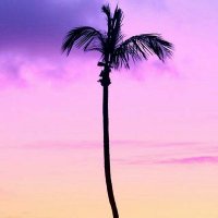 ๐Robyn๐ (@vsiioeboni) 's Twitter Profile