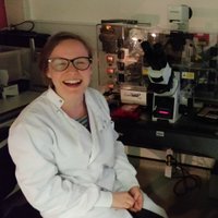 Claire Mitchell (@drcmitchell) 's Twitter Profile