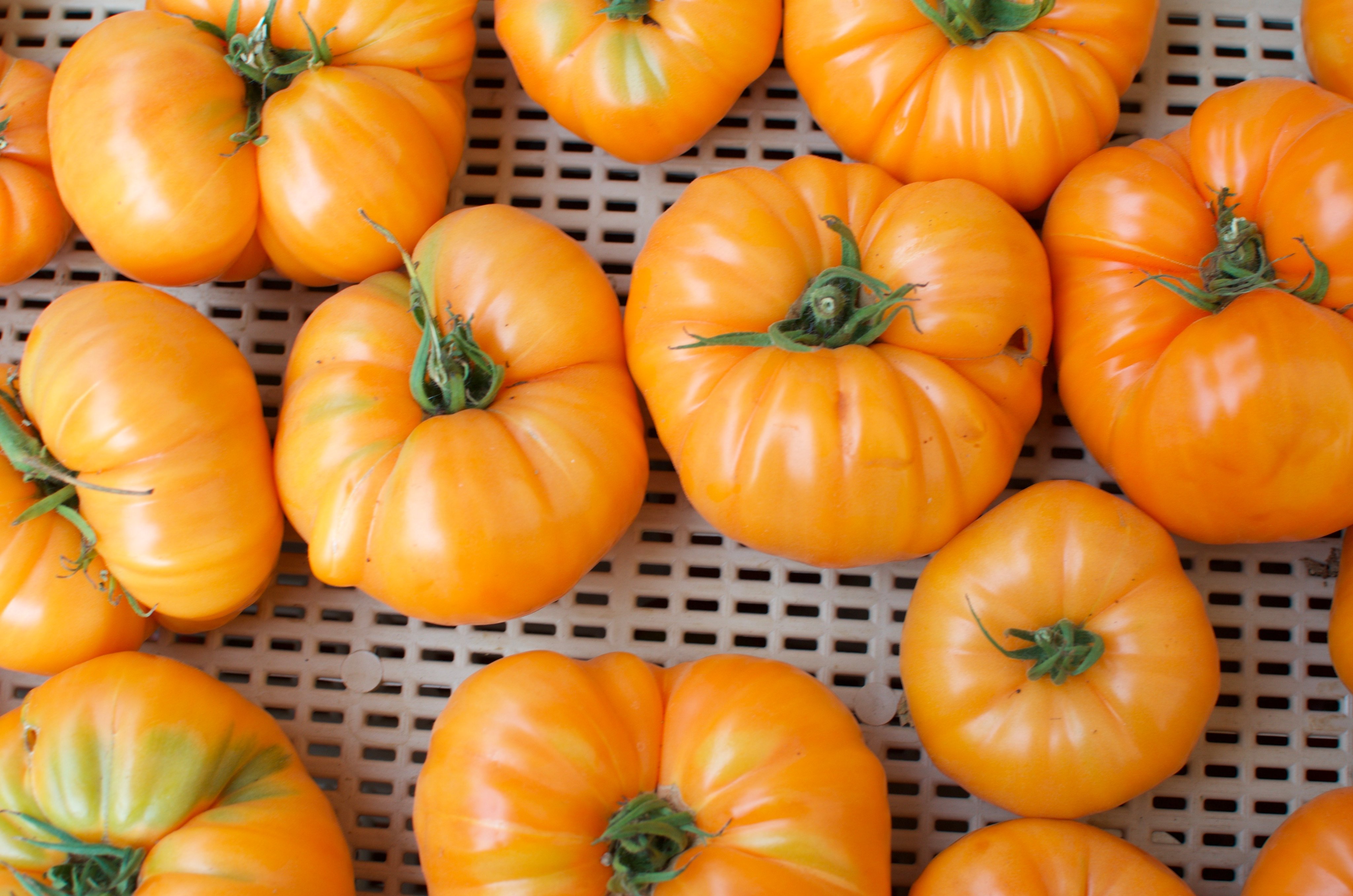100% locally made and grown in the Idaho Panhandle Region!