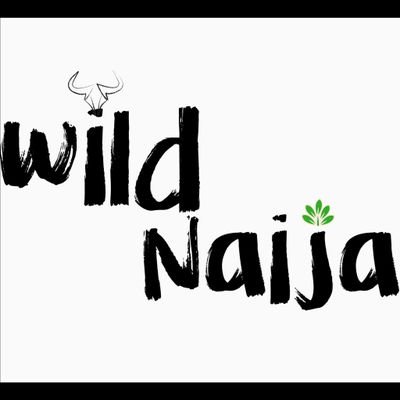 An NGO/COMMUNITY promoting and conserving Nigerian wildlife, by telling stories about the natural world through a cinematic experience.