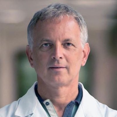 Pr L. Naldini, M.D., Ph.D., has pioneered the development and applications of lentiviral vectors for gene transfer in human genetic diseases.