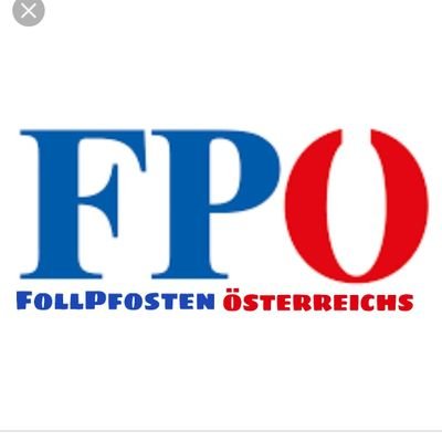 Ex-Vizekanzler der Republik Österreich // Ex-Bundesparteiobmann der FPÖ