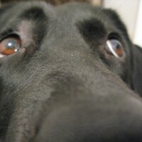 Aberystwyth Online (@aberonline) 's Twitter Profile