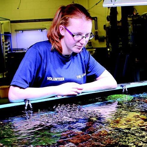 PG Marine Scientist at UHI Shetland!
#scientist #photographer #mum #research