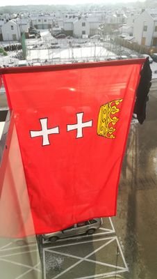 Qfel6's profile picture. Buoyant mood