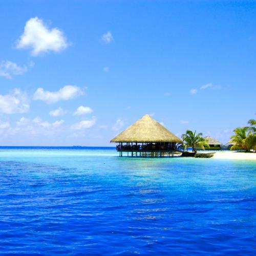 ichicoichi's profile picture. 昨年、お仕事をやめて美容学校へ行き無事卒業☆今年に入ってあ憧れのﾈｲﾙｻﾛﾝに就職し、日々修行中。愛するお酒とつまみとﾊｲﾃﾝｼｮﾝな友に囲まれながら、今年こそは起業しよ！とか友達と夢を語ってみたり♪LOVE…旅行・ドライブ・F1・海・珈琲・ﾋﾟﾝｸ・ガールズnight・ﾁｮｺﾐﾝﾄ・ザキヤマ・ネイル・イイ香り・デコ