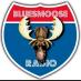 Blues Moose Radio (@bluesmoose) Twitter profile photo