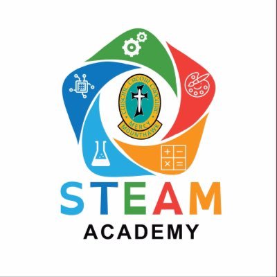 Large 2nd level school @mounthawkmercy sharing STEAM (Science, Technology, Engineering, Arts,Maths) activities in the school.