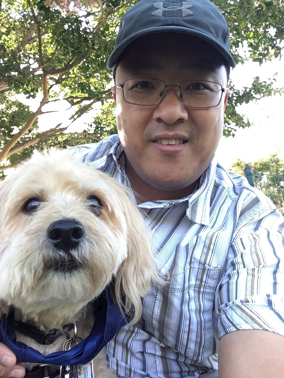 chenopis's profile picture. I paint with ideas!