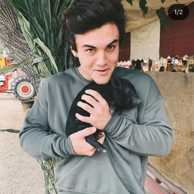 Hey im new here! And I’m the biggest fan of thedolan god damn i love them sm 😭😭❤️❤️ Can you please follow me @graysondolan @ethandolan