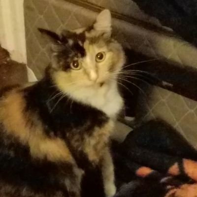 XxAwZoMexX's profile picture. Who the fuck is that guy?