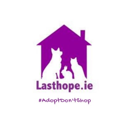 Last Hope Animal Charity is a registered Meath based charity dedicated to rescue, rehabilitation and rehoming of all animals. For emergencies 085 717202