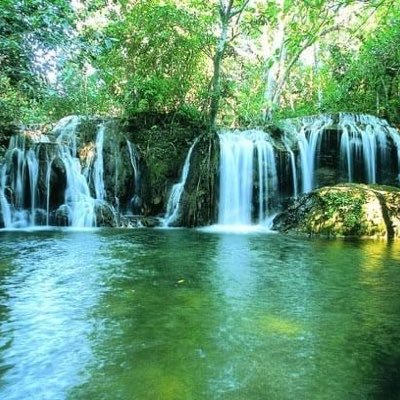 Natureggt's profile picture. Beleza natural 🌳💦🌍📍