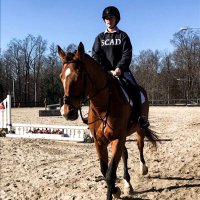 horse girl Elle Woods💖(@EquinesAndArt) 's Twitter Profile Photo