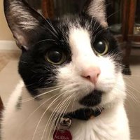 Michael Coates 🇺🇸🌊🌊🌊🌊🇺🇸🌊🌊🌊🌊🇺🇸 (@jukehorse50) 's Twitter Profile Photo Michael Coates 🇺🇸🌊🌊🌊🌊🇺🇸🌊🌊🌊🌊🇺🇸 (@jukehorse50) 's Twitter Profile Photo