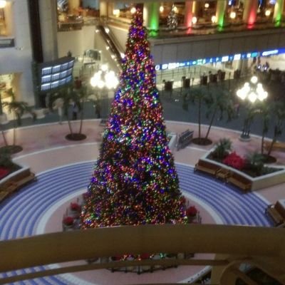 jcfvdf's profile picture. 