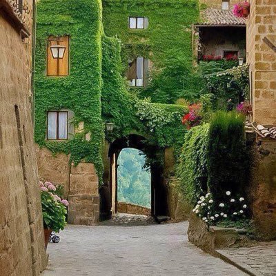 abdllraouf's profile picture. 