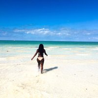 Vimbai (@ventureswithvim) 's Twitter Profile