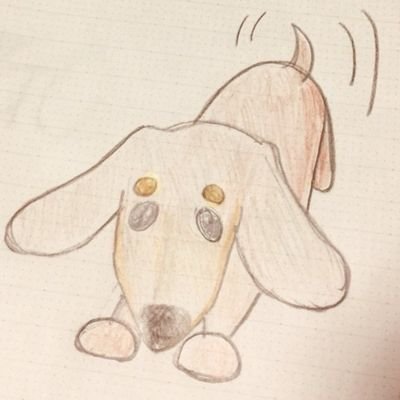 jamaicoco's profile picture. ダックス ココと日常あれやこれや。