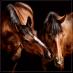 Nadina Ironia Artist (@ironiaart) Twitter profile photo Nadina Ironia Artist (@ironiaart) Twitter profile photo