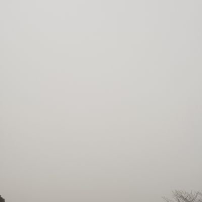 b3X6cXyEIBAtiKd's profile picture. 트위터 족같아서 접습니다