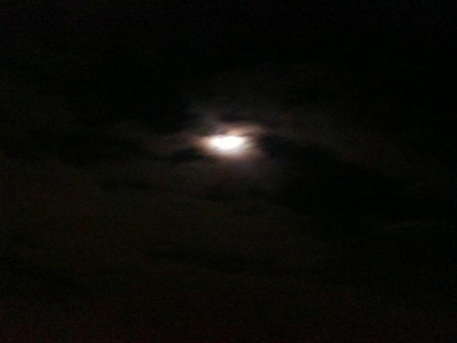 01054131117's profile picture. 