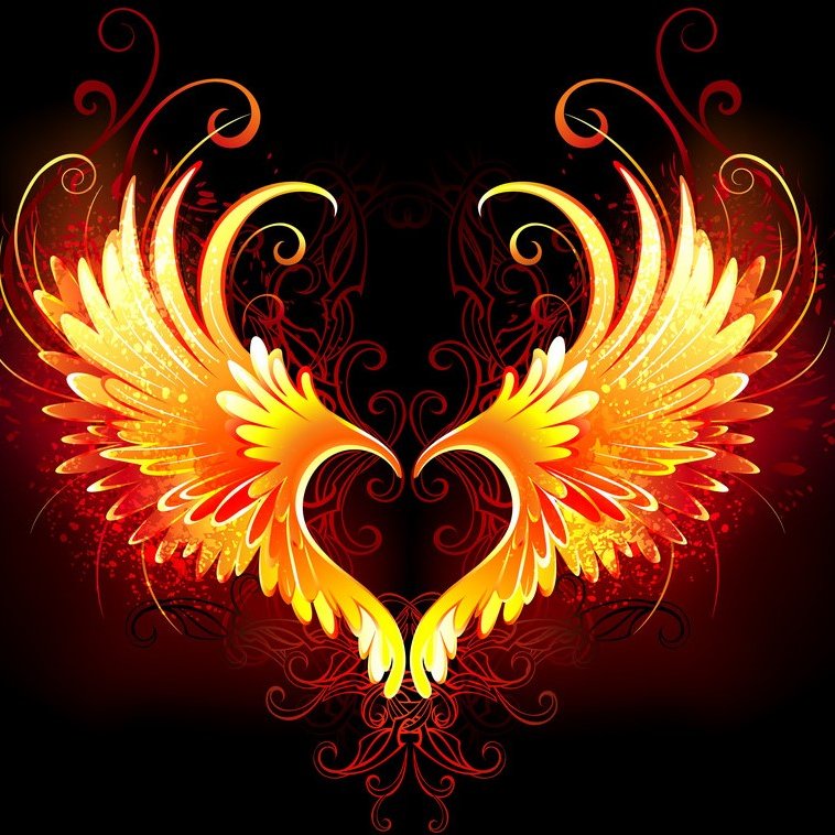 Discord Lover | Twitch Mod | In College