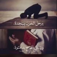 أم الحربي (@sslal4) 's Twitter Profile