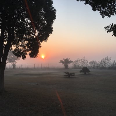 gorsitahir's profile picture. 