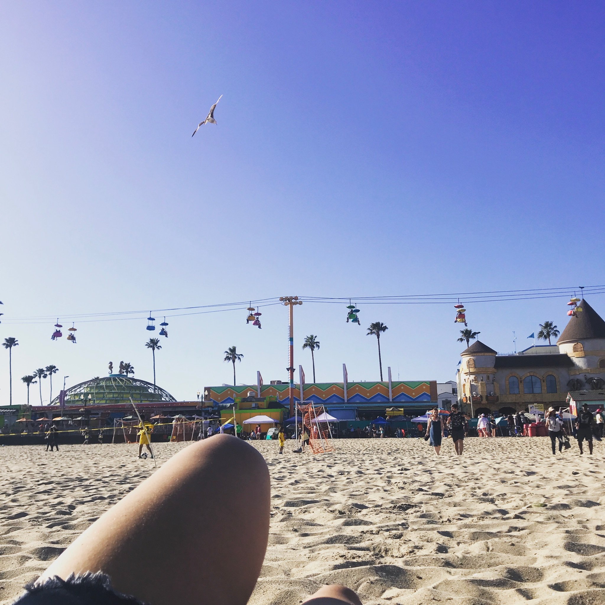 Mills_1015's profile picture. CSUEB '18.                          IG:  ITS_MILLYY_                                   Pain breeds strength. Trust your struggle.