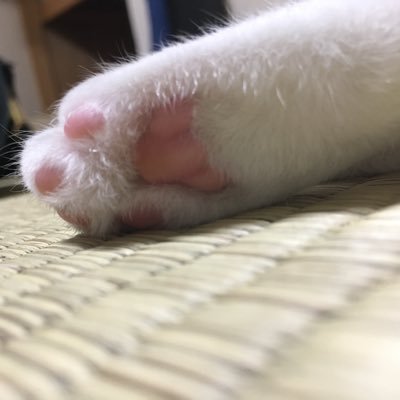 792434_017's profile picture. 火畜🎲蚊帳の外🖤🎮🌈🕒