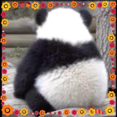 funfunfun1227's profile picture. 音楽 と 笑 / ひろのぶ党 / https://t.co/Z1JRq4SzGf