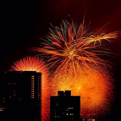 yutoichigeki's profile picture. IT