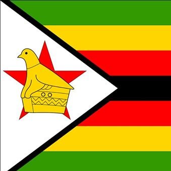 Zimbabwean
Patriotic
Pro-Democracy