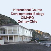 DevBio CourseQuintay (@devbioquintay) 's Twitter Profile