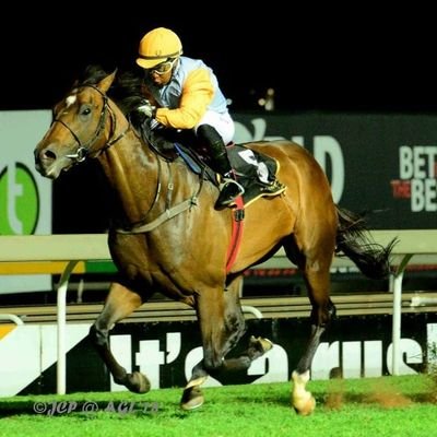 Alec Laird Racing is a thoroughbred racing stable based in Johannesburg, South Africa.

Tel: +27 82 888 8099

Facebook: Alec Laird Racing