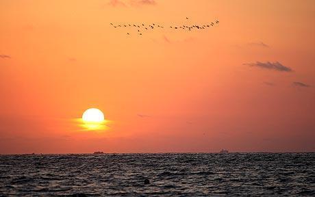 Holiday Nightmares Holidayhell Twitter